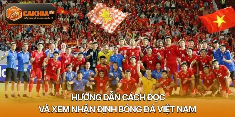 Hướng dẫn cách đọc và xem nhận định bóng đá Việt Nam